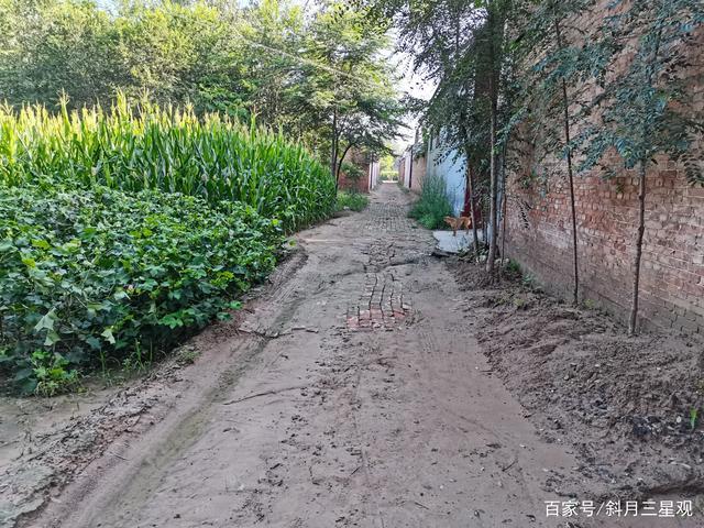 农村立秋后的早晨
