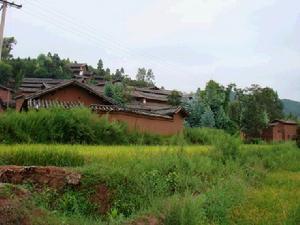 李资河村 -     村情概况   李资河村隶属于云南省牟定县江坡镇丰乐