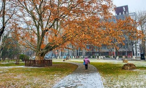 大学校园唯美雪景,哪里的景色让你