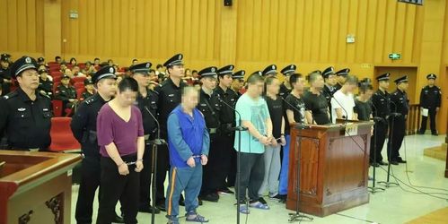 金华境内这几个臭名昭著的恶势力被团灭!"黑老大"全被