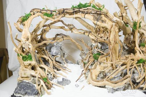 【沉木】承接鱼缸草缸杜鹃根珊瑚沉木青龙石整体骨架造景定做