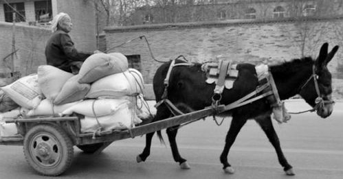 生产队里的怀旧老照片(第一篇)