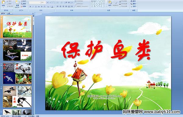 幼儿园中班社会活动ppt课件——保护鸟类