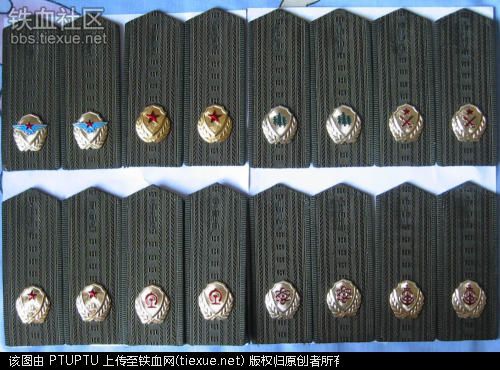 问对人了,92式警衔 公安领章是绿色剑型领章,法院,检察院警察领章是