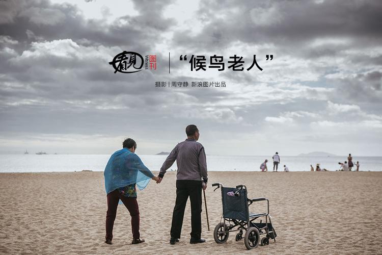 "候鸟老人"_高清图集_新浪网