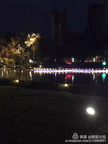 石河子景观河夜景