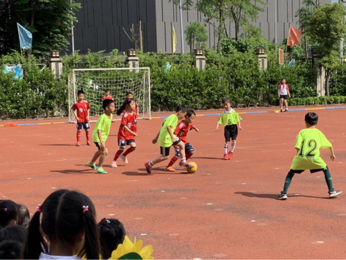 成都市高新区行知小学——为学生的终身发展奠定基础