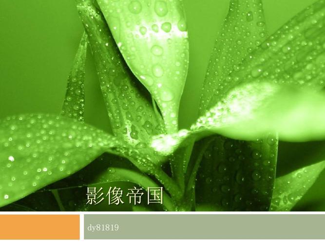 绿色植物叶子背景幻灯片ppt模板下载