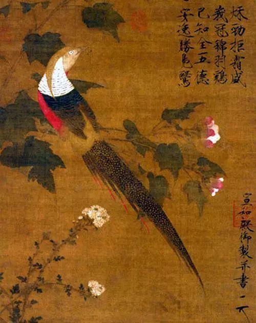 芙蓉锦鸡图,图片来源于网络