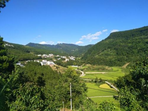 大石镇山园村
