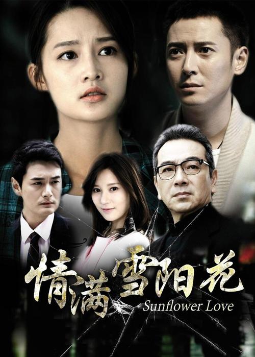 错放你的手第1集 - 电视剧 - 高清完整版在线观看