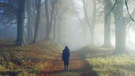 极度孤独为何会导致精神问题?