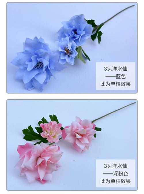 粉色3头洋水仙,红色3头洋水仙,橘色3头洋水仙,蓝色3头洋水仙,深粉色3