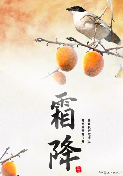 霜降海报霜降诗句文案