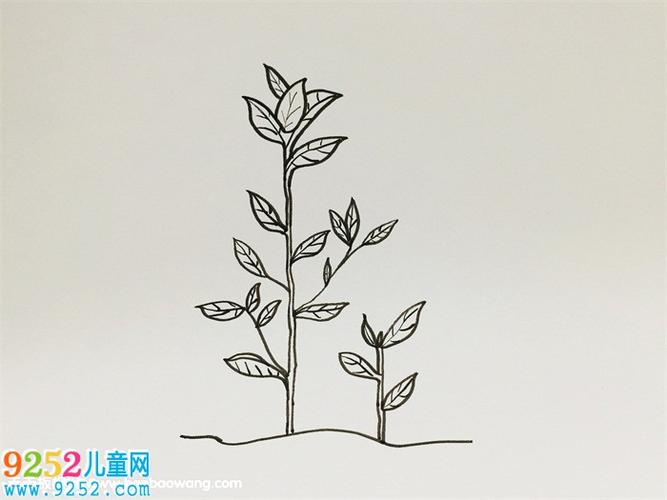 茶树怎么画步骤树叶简笔画茶树简笔画教程