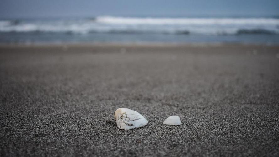 优美的沙滩上贝壳与海螺风景意境