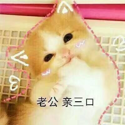 老公亲三口_三口_老公表情