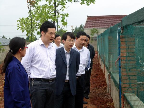 杨文生,刘登银到鸦滩镇,凉泉乡调研--中安在线-望江
