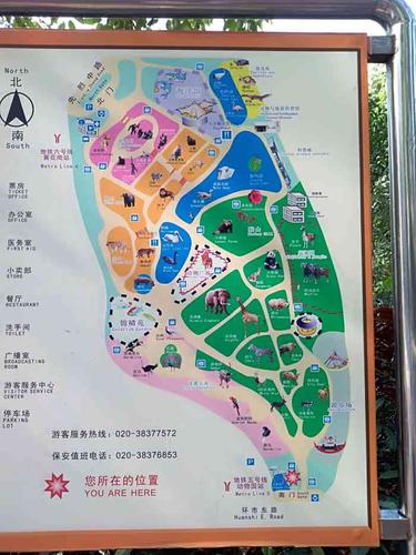 广州动物园-"距离小时候可能来过一两次至今应该差不.