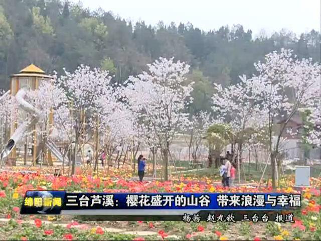 绵阳招聘:四川绵阳市樱花谷风景旅游区急聘以下岗位