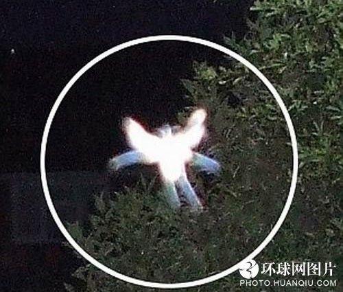 世上最恐怖的真实"鬼照片" - 世界广角 - 东南网