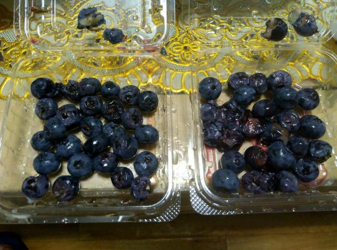 请各位大神帮忙鉴别一下,这些蓝莓里面有多少烂了的?