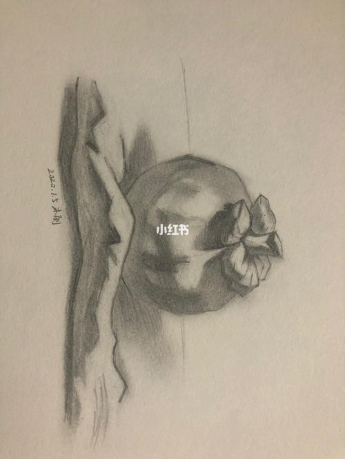素描练习_素描_画画_文化_绘画