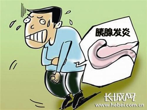 专家提醒春节饮食预防胰腺炎要记住3忌1宜