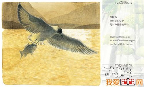 遇见泰戈尔:杜文涓绘《飞鸟集》插画展开展