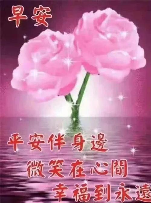 大家早上好,非常漂亮好看的美女早上好祝福图片 温馨早安祝福语短信