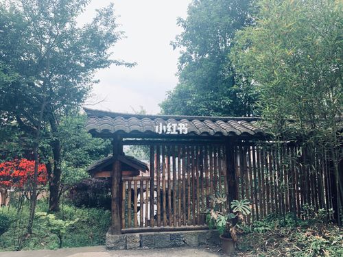 打卡蜀南竹海97竹安隐所温泉民宿90_温泉_民宿_拍照_夏天去哪玩