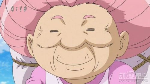 第8名《航海王》dr.古蕾娃