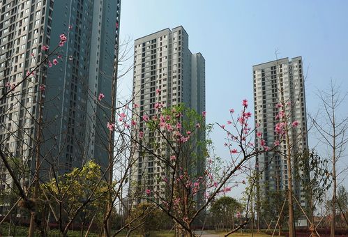 重庆康居西城公租房方便吗