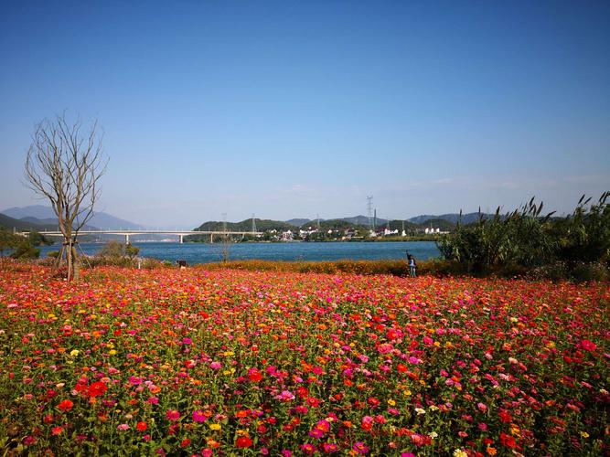 建德下涯马目之江村一日游