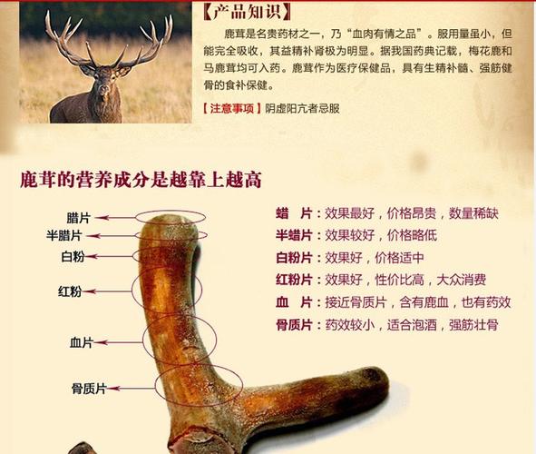   产品实拍图      亲,此价格为精选顶级鹿茸