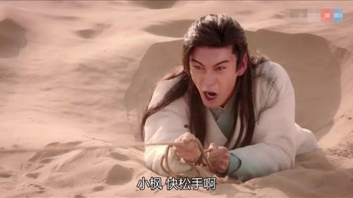 李承鄞陷入流沙,小枫死死地拽着缰绳救他.