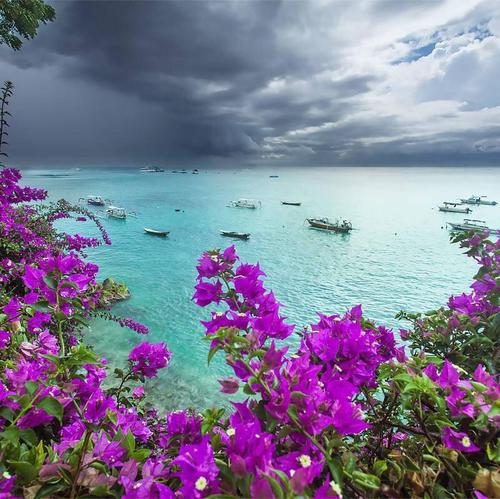 面朝大海,春暖花开