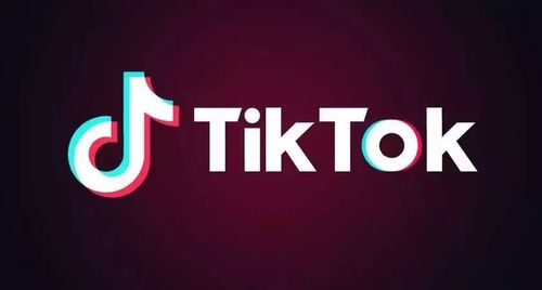 tiktok ads出海代理商2019年度招募启动