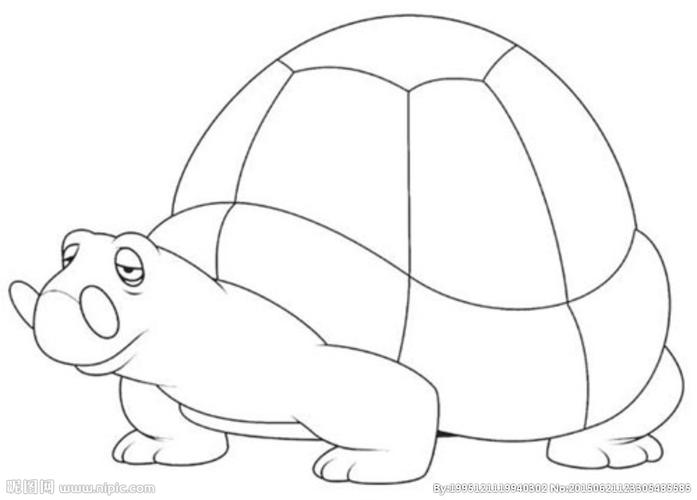 乌龟简笔画图片