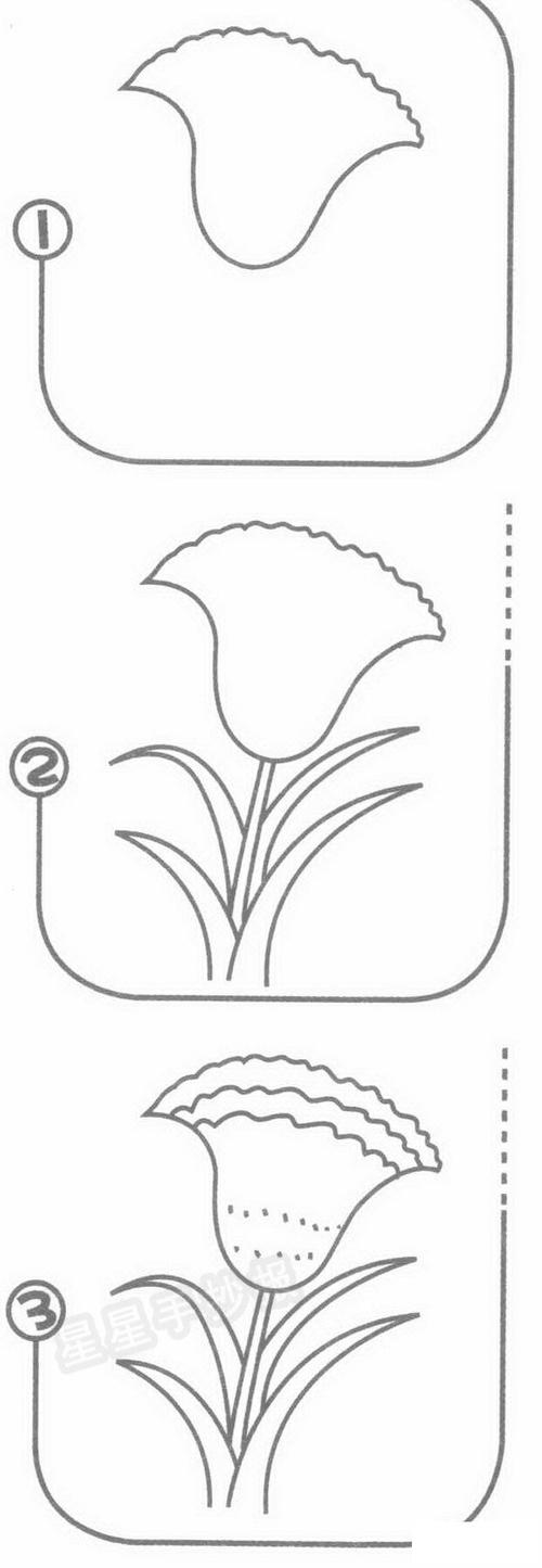 鸡冠花简笔画简单画法