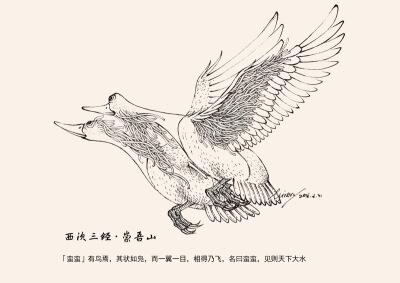 眼睛,要两只鸟相对结伴才能飞翔,它的名字叫蛮蛮(即今所说的比翼鸟)