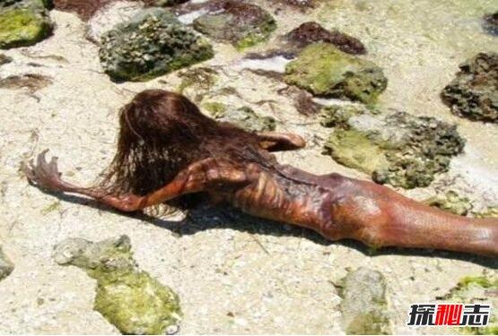 美人鱼的图片大全美人鱼真身吓人图片胆小勿入