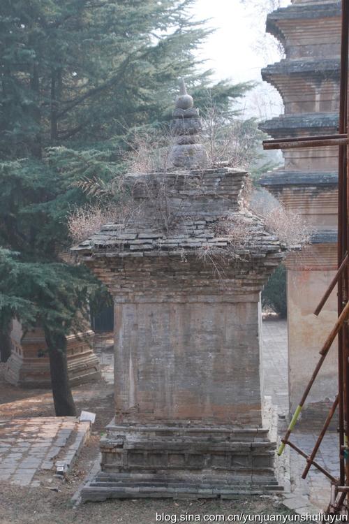 【河南登封】少林寺塔林