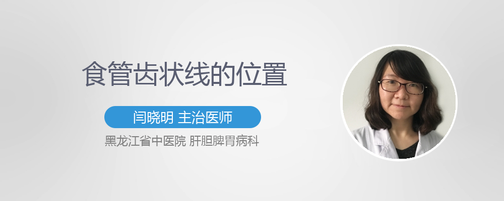 食管齿状线的位置
