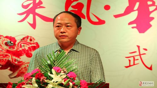 华龙集团董事长龙华阶先生