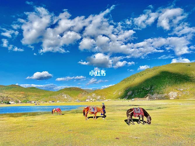 云南香格里拉·拍大片92解锁纳帕海草原de美_草原_骑马_拍照_穿搭