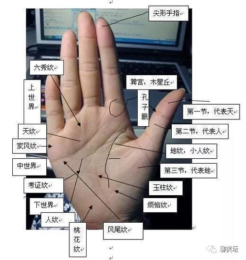 不论男女, 手相中"感情线"分成3段, 婚姻十有九离!