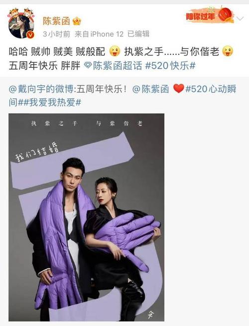 陈紫函戴向宇五周年晒合体大片恩爱有加冻龄颜值惹人赞叹