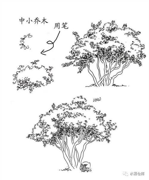 线稿|绘画基础 各类树木 草丛 树叶的画法笔触