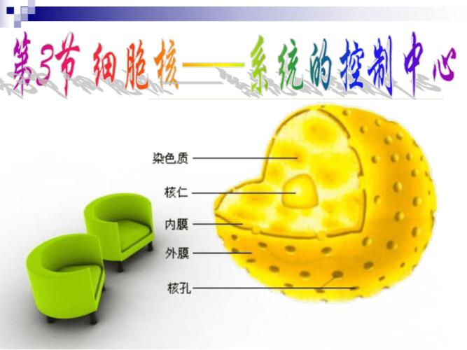 3细胞核——系统的控制中心